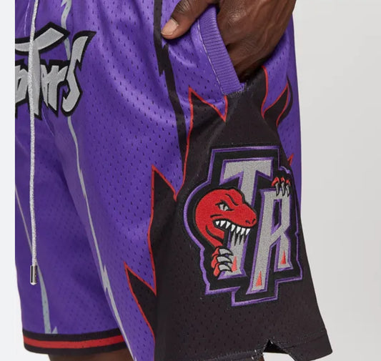 Retro Raptors